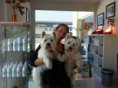 /album/fotos-zoe-s-city-dog/phon-2012-785-jpg1/